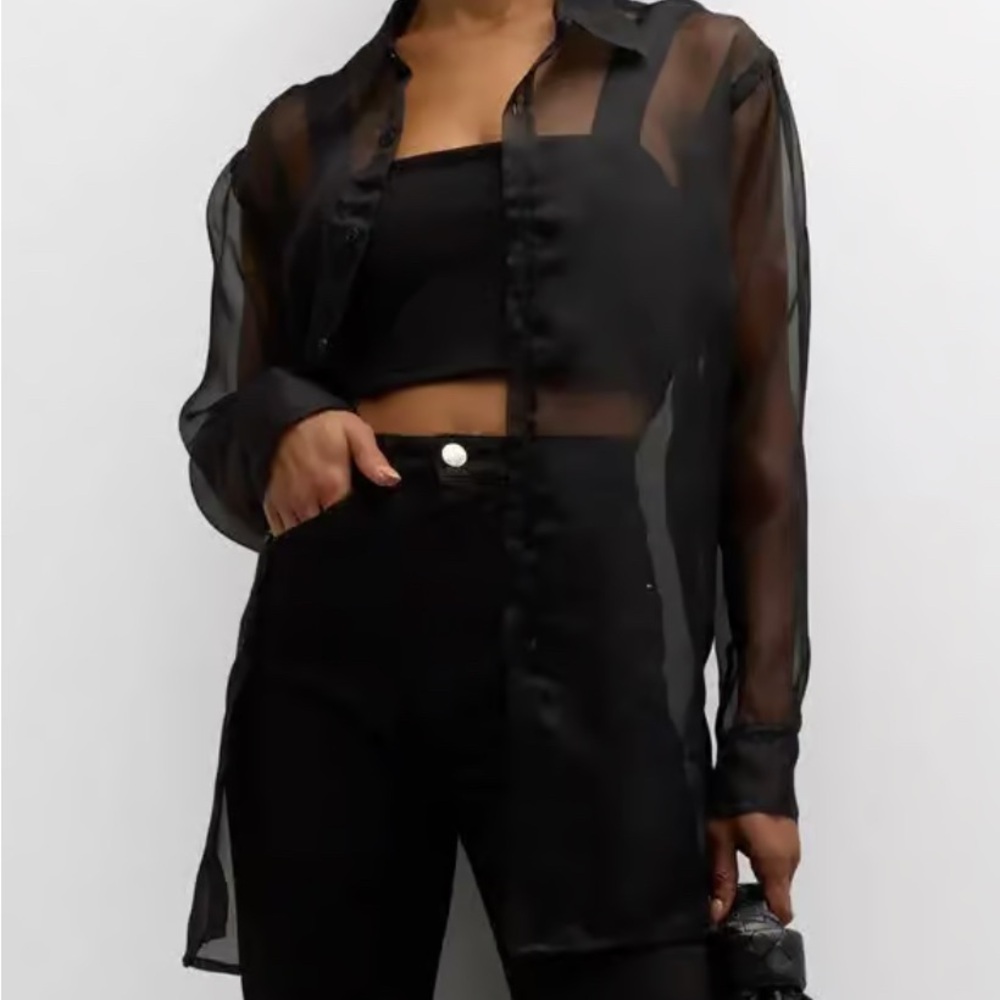 Sheer Black Button-Up Blouse